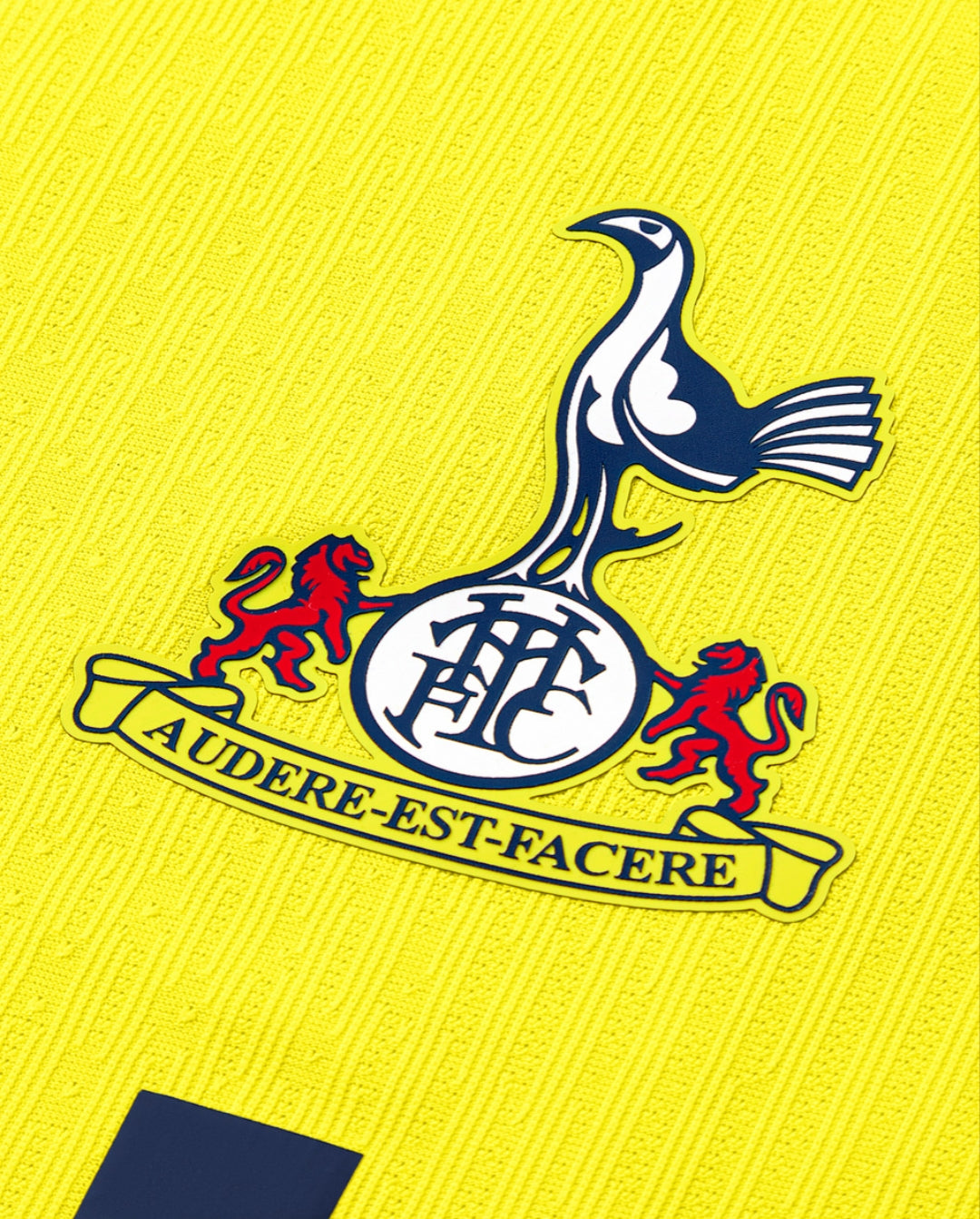 Tottenham 25/26 Third Jersey