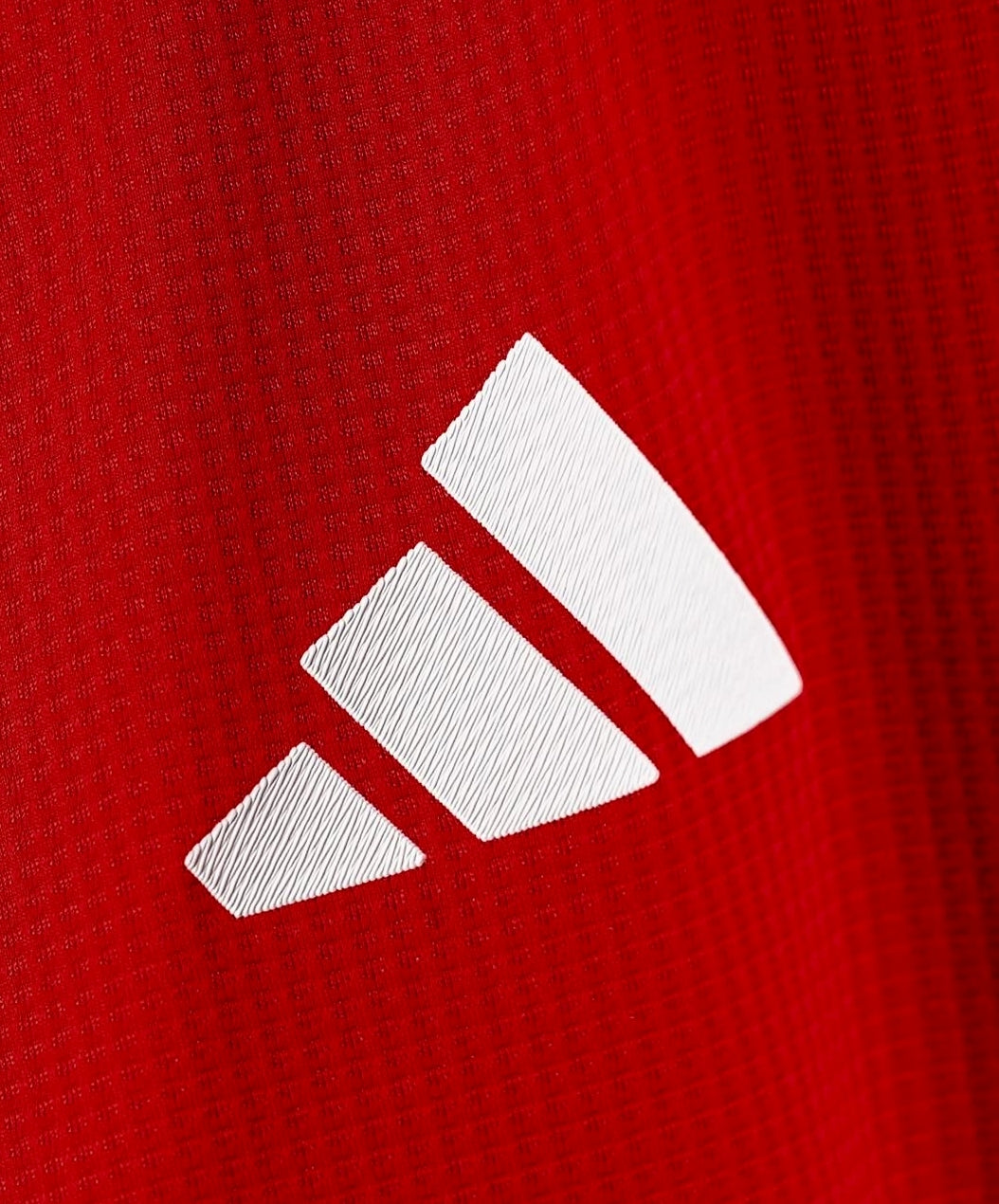 Manchester United 24/25 Home Jersey