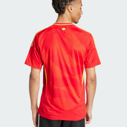 Spain 24/25 Home
