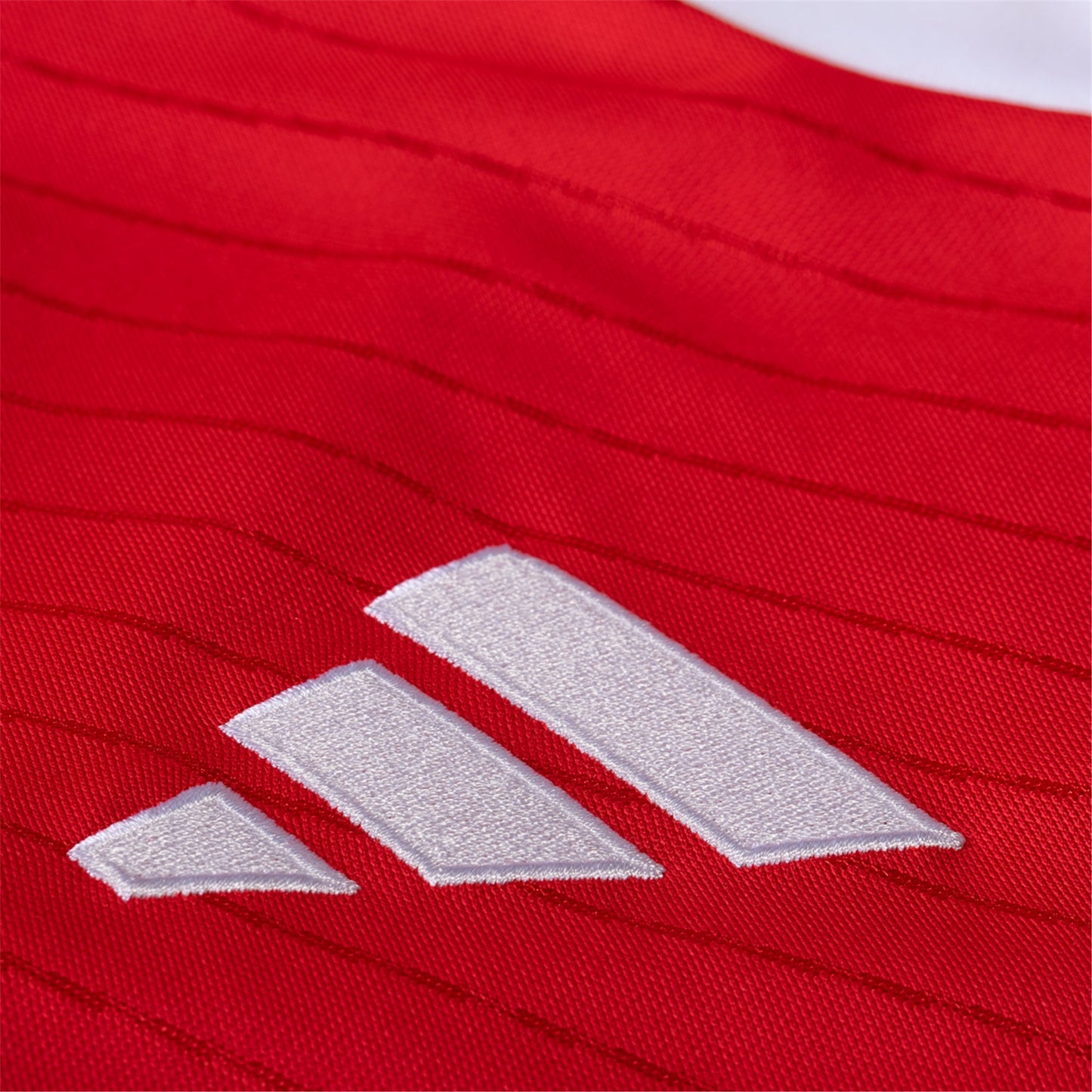 Benfica Home Jersey 24/25