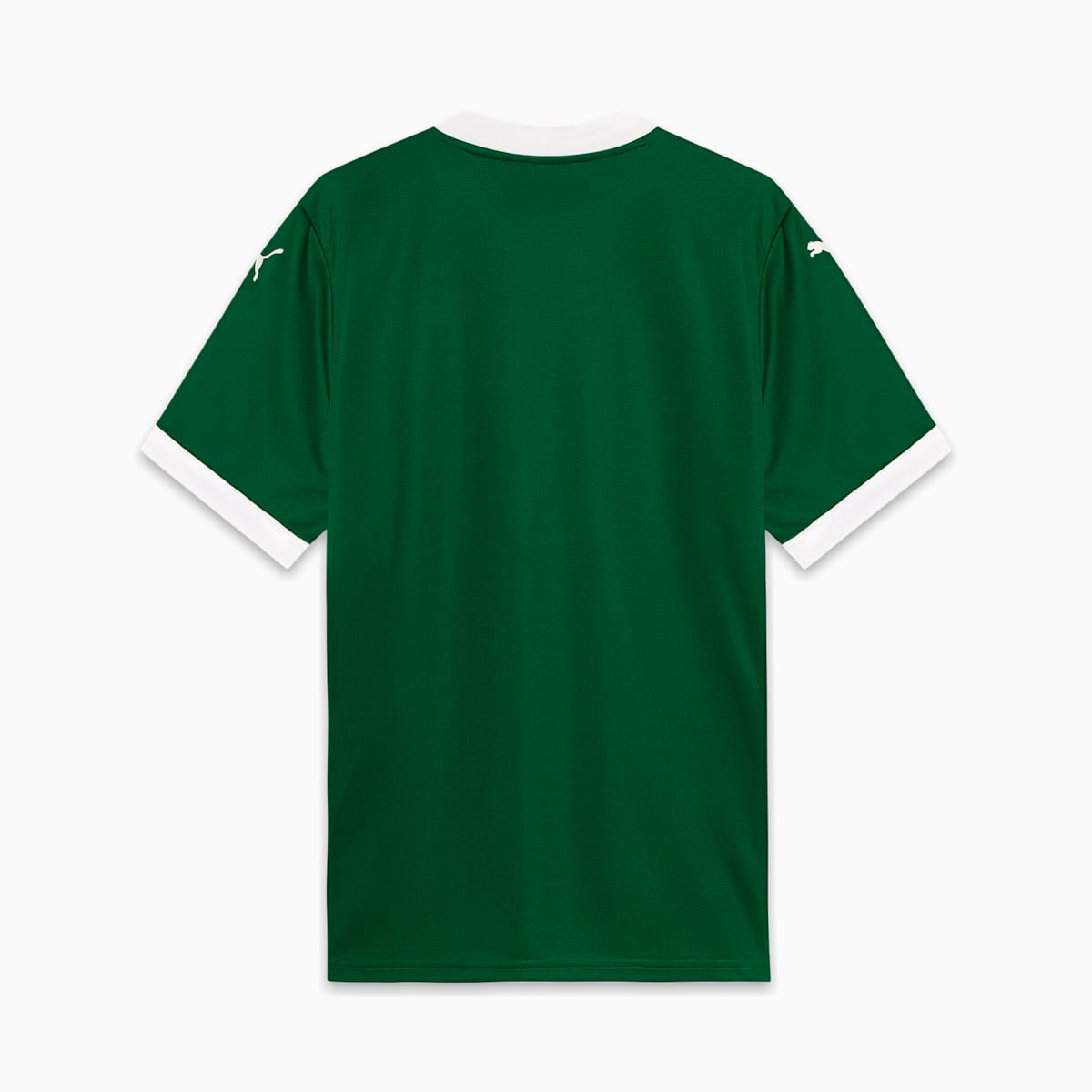 Palmeiras 25/26 Home Jersey
